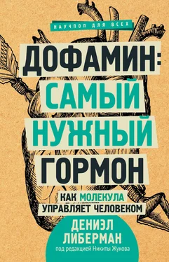 Дениэл Либерман Дофамин: самый нужный гормон. Как молекула управляет человеком обложка книги