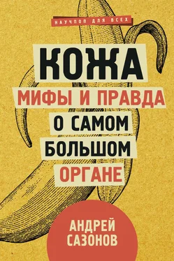 Андрей Сазонов Кожа: мифы и правда о самом большом органе