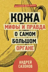 Андрей Сазонов - Кожа - мифы и правда о самом большом органе