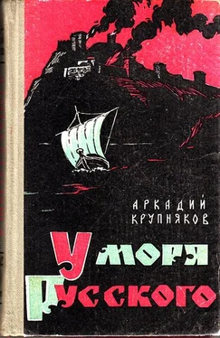 Аркадий Крупняков У моря Русского обложка книги