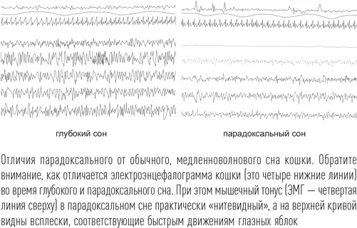 При дальнейших исследованиях выяснилось что ежесуточное количество - фото 13