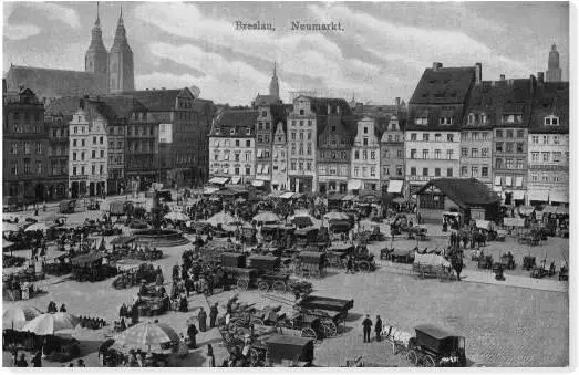 Поднявшись наверх покурить и глотнуть свежего воздуха одно както не мешало - фото 10