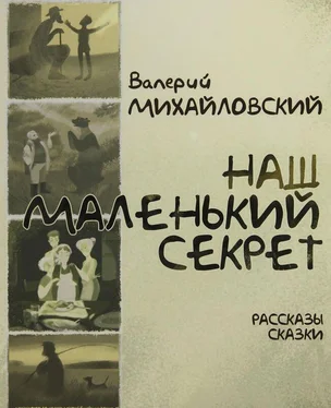 Валерий Михайловский Наш маленький секрет [Рассказы и сказки] обложка книги