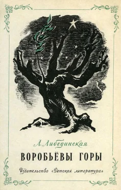 Лидия Либединская Воробьевы горы обложка книги