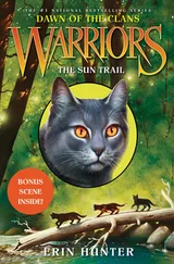 Эрин Хантер - The Sun Trail
