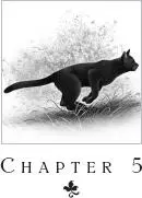 Gray Wing headed for the cave entrance but halted when he saw Dewy Leaf and - фото 8