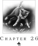 With every paw step he took away from the Twolegplace Gray Wing became more - фото 29