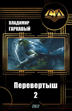 Владимир Гаркавый Перевертыш 2 (СИ) обложка книги