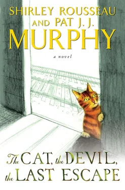 Shirley Murphy The Cat, The Devil, The Last Escape обложка книги