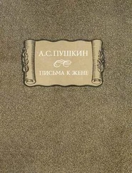 Александр Пушкин - Письма к жене