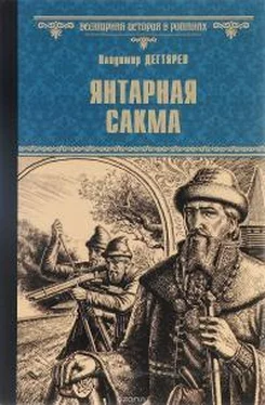 Владимир Дегтярев Янтарная сакма обложка книги