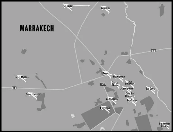 Introduction City of Joy and Grit When I agreed to edit Marrakech Noir I - фото 1