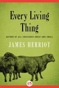 Джеймс Хэрриот Every Living Thing обложка книги