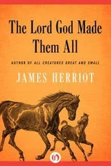 Джеймс Хэрриот - The Lord God Made Them All