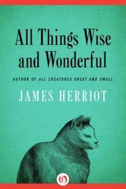 Джеймс Хэрриот All Things Wise and Wonderful обложка книги