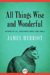 Джеймс Хэрриот - All Things Wise and Wonderful