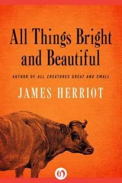 Джеймс Хэрриот All Things Bright and Beautiful обложка книги