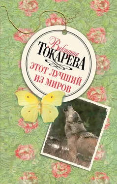 Виктория Токарева Этот лучший из миров обложка книги