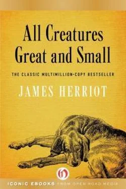 Джеймс Хэрриот All Creatures Great and Small обложка книги