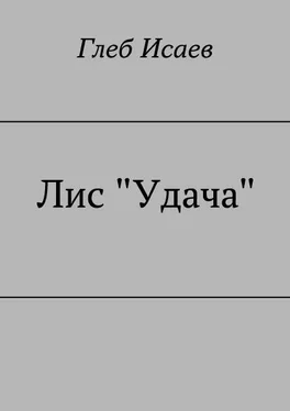 Глеб Исаев Лис Удача обложка книги