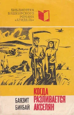 Баязит Бикбаев Когда разливается Акселян обложка книги