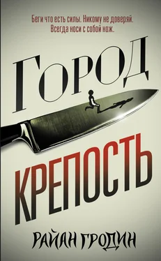 Райан Гродин Город-крепость [litres] обложка книги