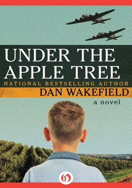 Dan Wakefield Under the Apple Tree: A Novel обложка книги