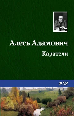 Алесь Адамович Каратели [litres] обложка книги