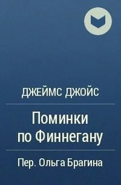 Джеймс Джойс Поминки по Финнегану: Отрывок обложка книги