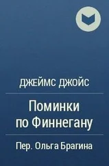 Джеймс Джойс - Поминки по Финнегану - Отрывок