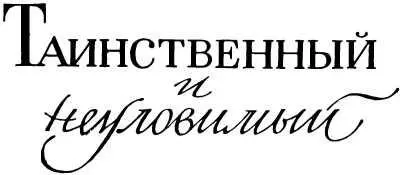 ТАИНСТВЕННЫЙ И НЕУЛОВИМЫЙ Предисловие которое можно не читать и сам на - фото 3