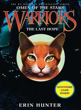 Erin Hunter The Last Hope обложка книги