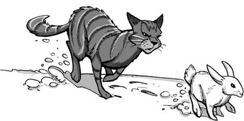 When the hunt is done narrate a brief scene describing the players cats - фото 39
