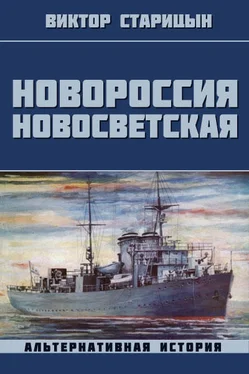 Виктор Старицын Новороссия Новосветская обложка книги