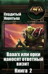 Коротыш Сердитый - Вааагх или орки наносят ответный визит. Книга 2