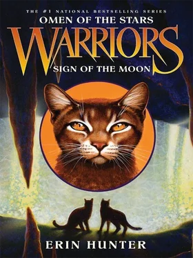 Erin Hunter Sign of the Moon обложка книги