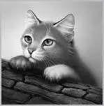 Please Jayfeather begged Let me stay here with Half Moon This is my only - фото 24