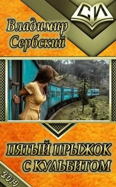 Владимир Сербский Пятый прыжок с кульбитом обложка книги