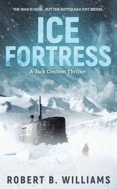 Robert Williams Ice Fortress обложка книги