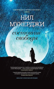 Нил Мукерджи Состояние свободы обложка книги