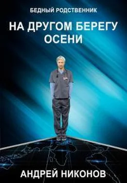 Андрей Никонов На другом берегу осени (Б.Р. √2) [СИ] обложка книги