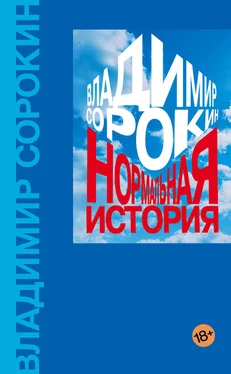 Владимир Сорокин Нормальная история обложка книги