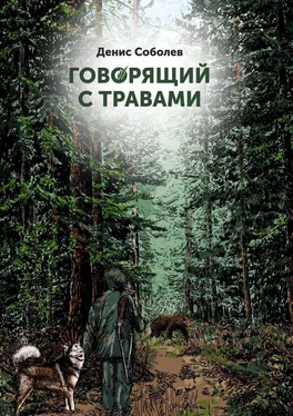 Денис Соболев Говорящий с травами. Книга первая обложка книги