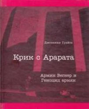 Джованни Гуайта Крик с Арарата. Армин Вегнер и Геноцид армян обложка книги