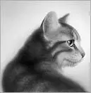 Lionblaze led the patrol away from the water and into the cover of denser - фото 24