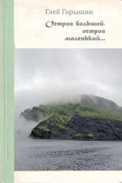 Глеб Горышин Остров большой, остров маленький обложка книги