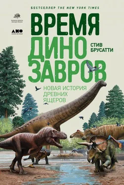 Стив Брусатти Время динозавров. Новая история древних ящеров обложка книги