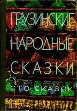 Нина Долидзе Грузинские народные сказки. Сто сказок обложка книги