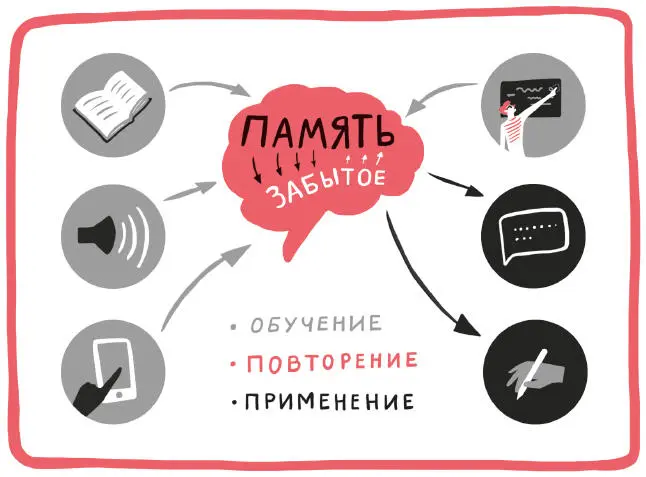 Обучение это процесс усвоения знаний полученных от преподавателей и из книг - фото 10
