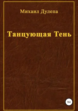 Михаил Дулепа Танцующая тень обложка книги
